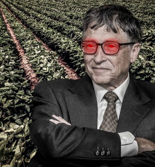 Bill Gates e il neo-feudalesimo