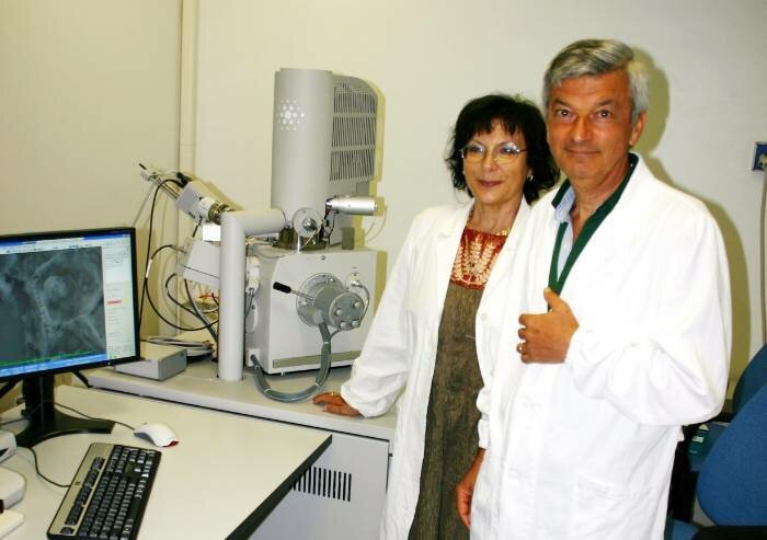 VACCINI Effetto gregge ed efficacia vaccinale - Dott. Stefano Montanari