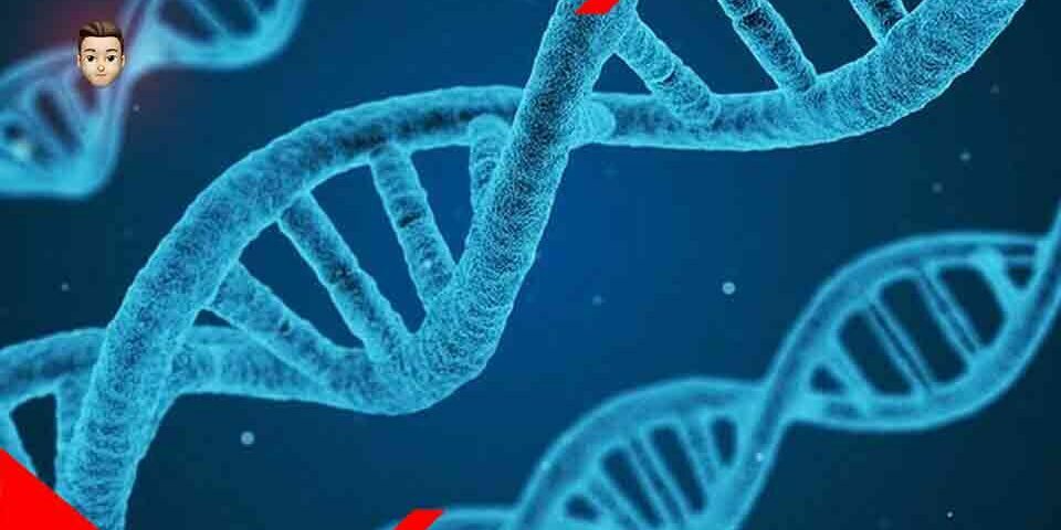 Le cellule convertono Rna in Dna: la scoperta che demolisce il dogma della biologia