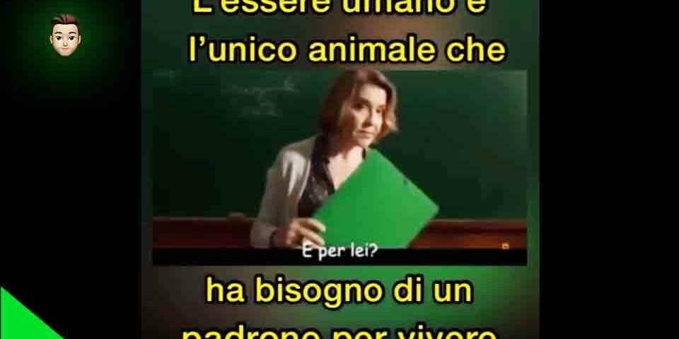L'essere umano è l'unico animale che ha bisogno di un padrone per vivere