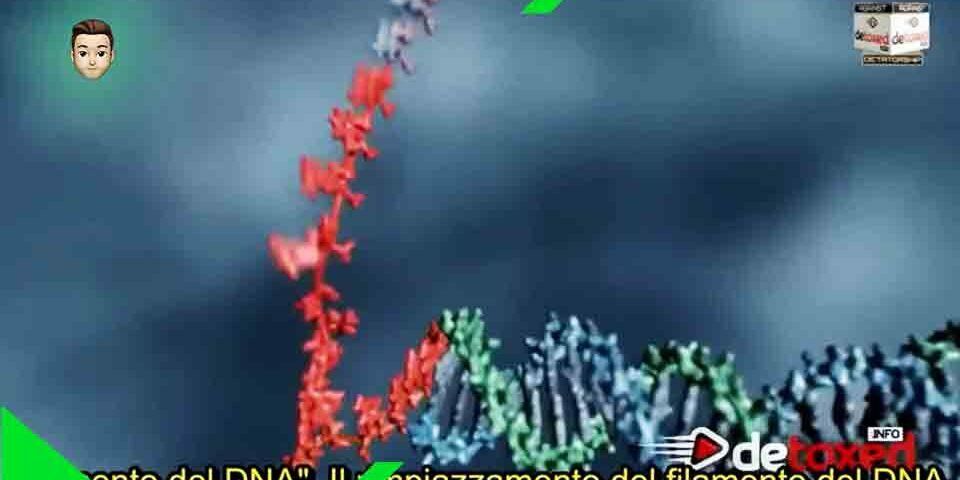 MICROSOFT: “Possiamo programmare il DNA come fosse un computer” (2016)