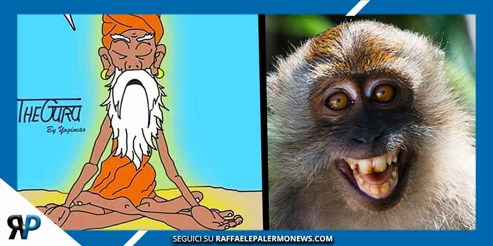 Vaiolo scimmie: In anteprima il nuovo protocollo super ninja (Video)