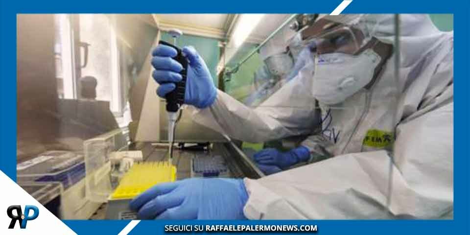 Vaiolo scimmie. Oms, ipotesi emergenza sanitaria internazionale