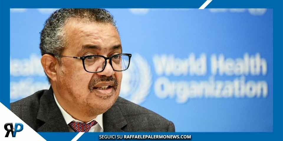 Oms: "Vaiolo delle scimmie non è un'emergenza sanitaria per ora"