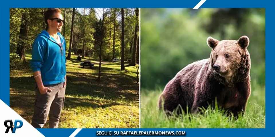 Runner ucciso, Tar sospende abbattimento dell’orsa