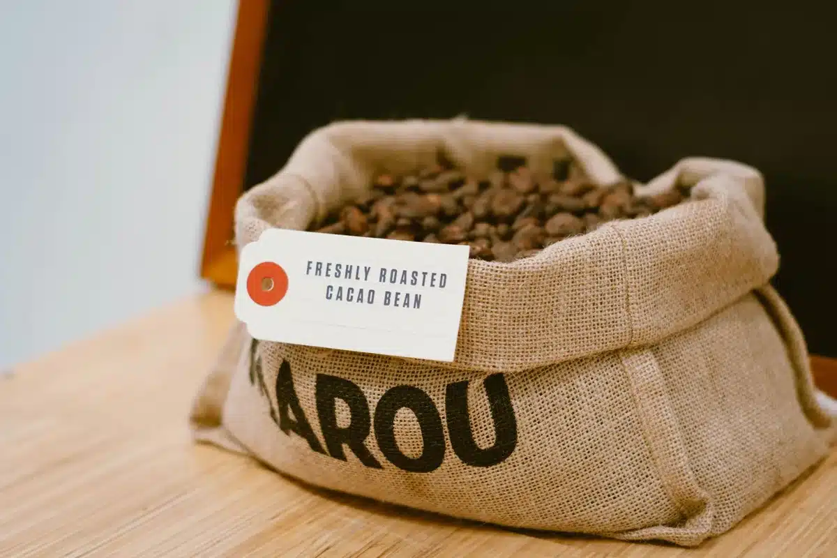 Baccelli di cacao aperti che rivelano i semi scuri in una piantagione tropicale