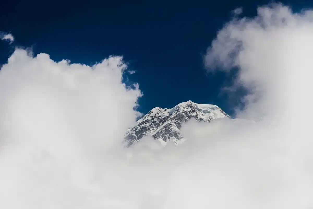 Paesaggio naturale con vetta montagnosa innevata, oceano profondo e alberi giganti sullo sfondo