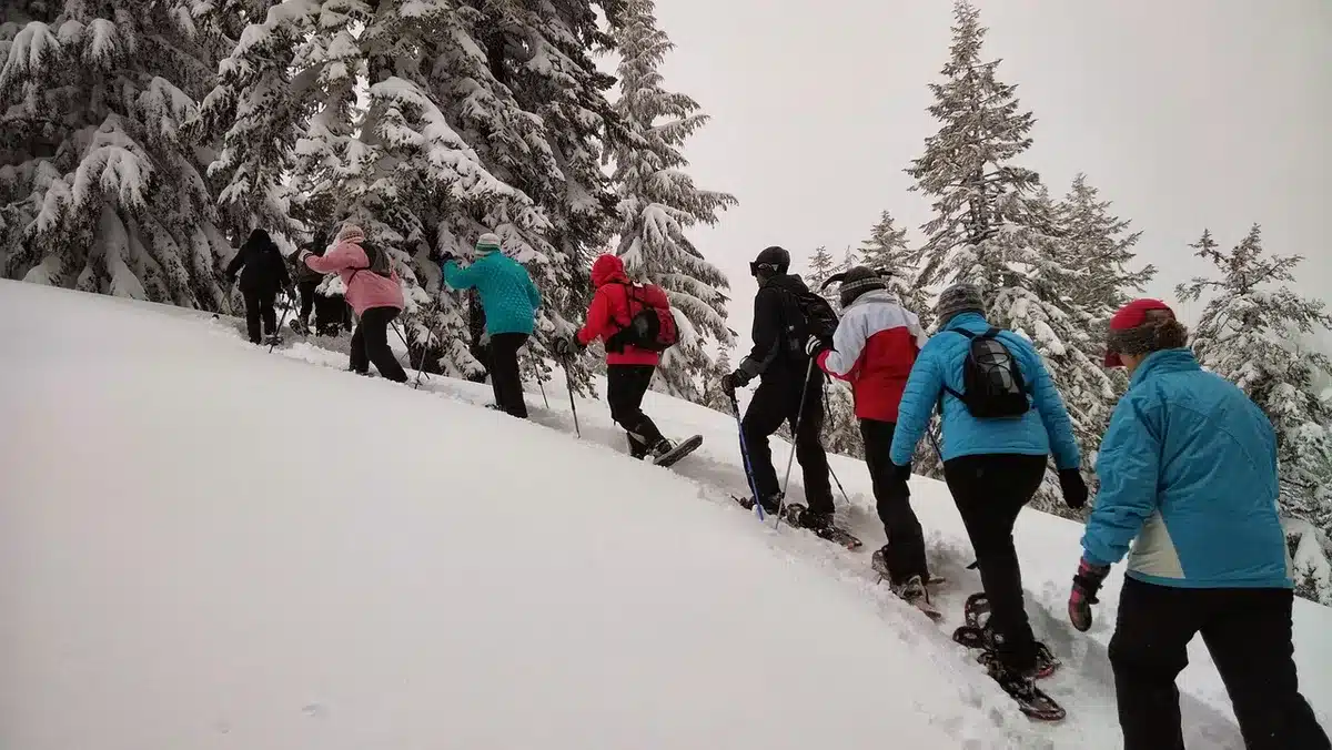 Paesaggio invernale di un parco nazionale con montagne innevate e foresta silenziosa