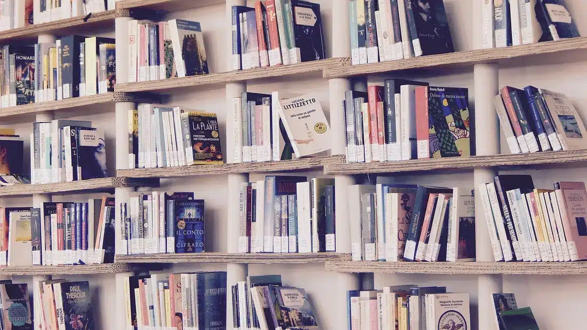 Interno di una libreria indipendente con scaffali pieni di libri e clienti che sfogliano