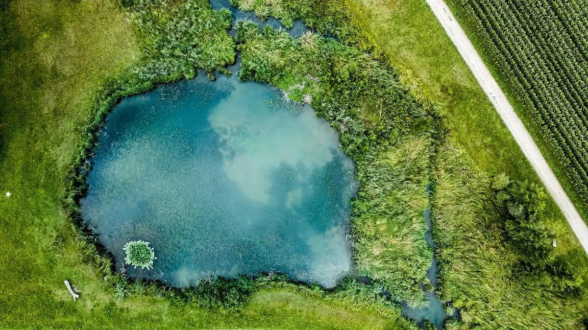 Vecchio modello di drone su sfondo neutro che evoca evoluzione storica