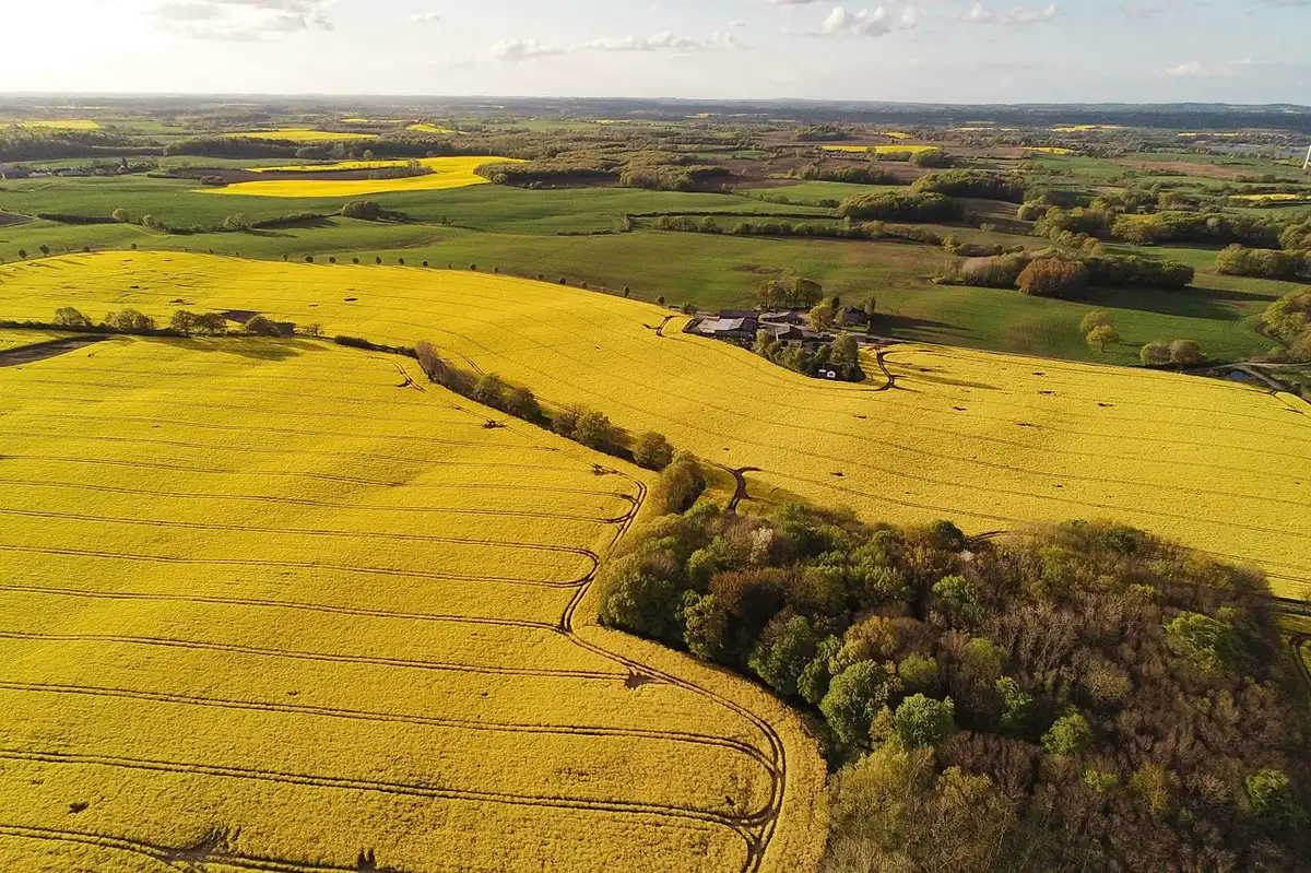 Drone agricolo che sorvola un campo mentre spruzza colture