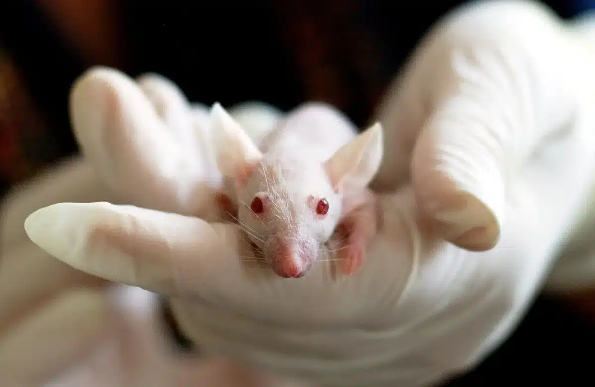 Banchi di prova per emissioni con strumenti diagnostici in laboratorio